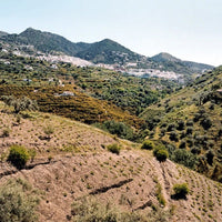 Molino Real "Mountain Blanco" Muscat - Latitude Wine & Liquor Merchant