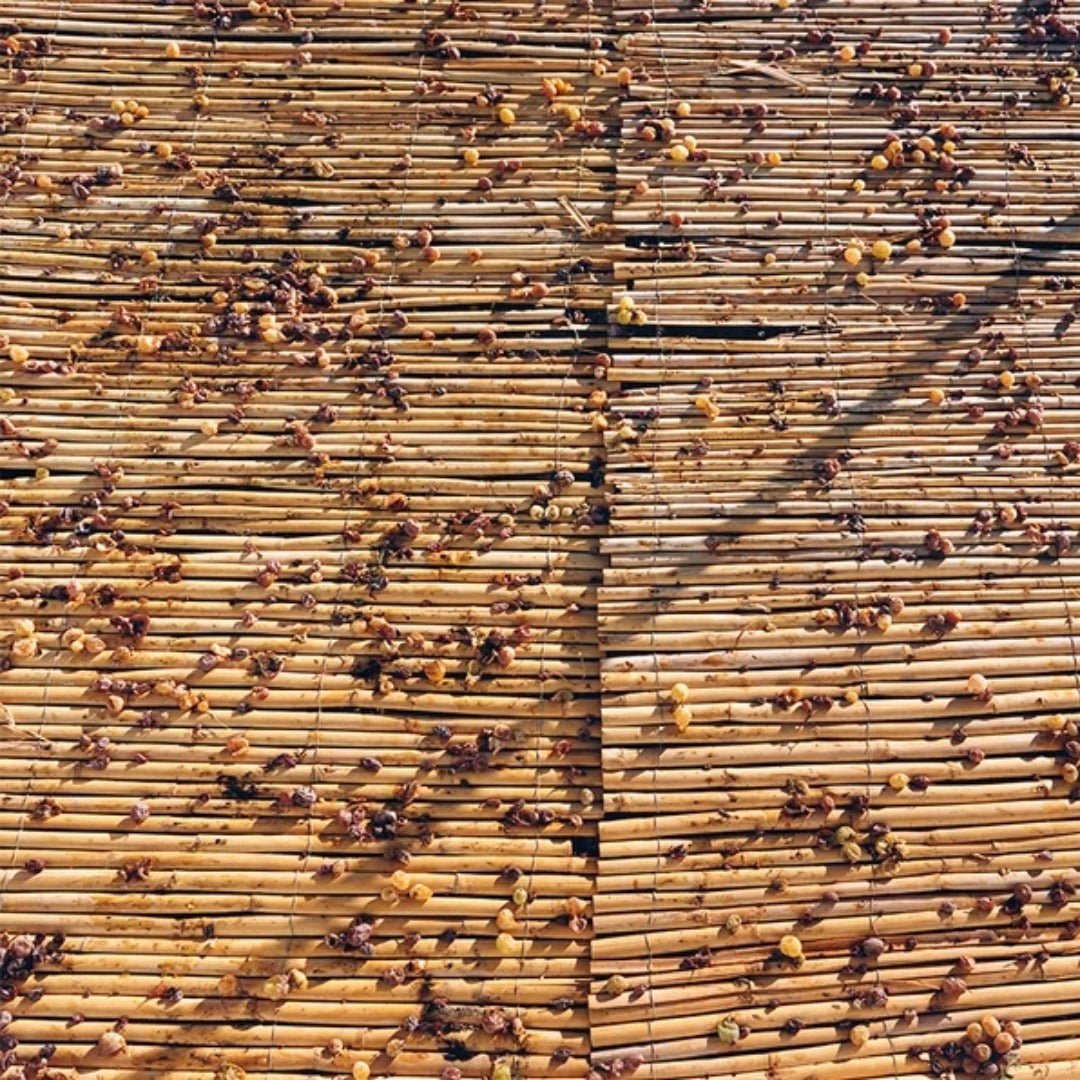 Molino Real "Mountain Blanco" Muscat - Latitude Wine & Liquor Merchant