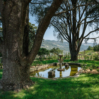 Monologo Arinto Organic Vinho Verde - Latitude Wine & Liquor Merchant