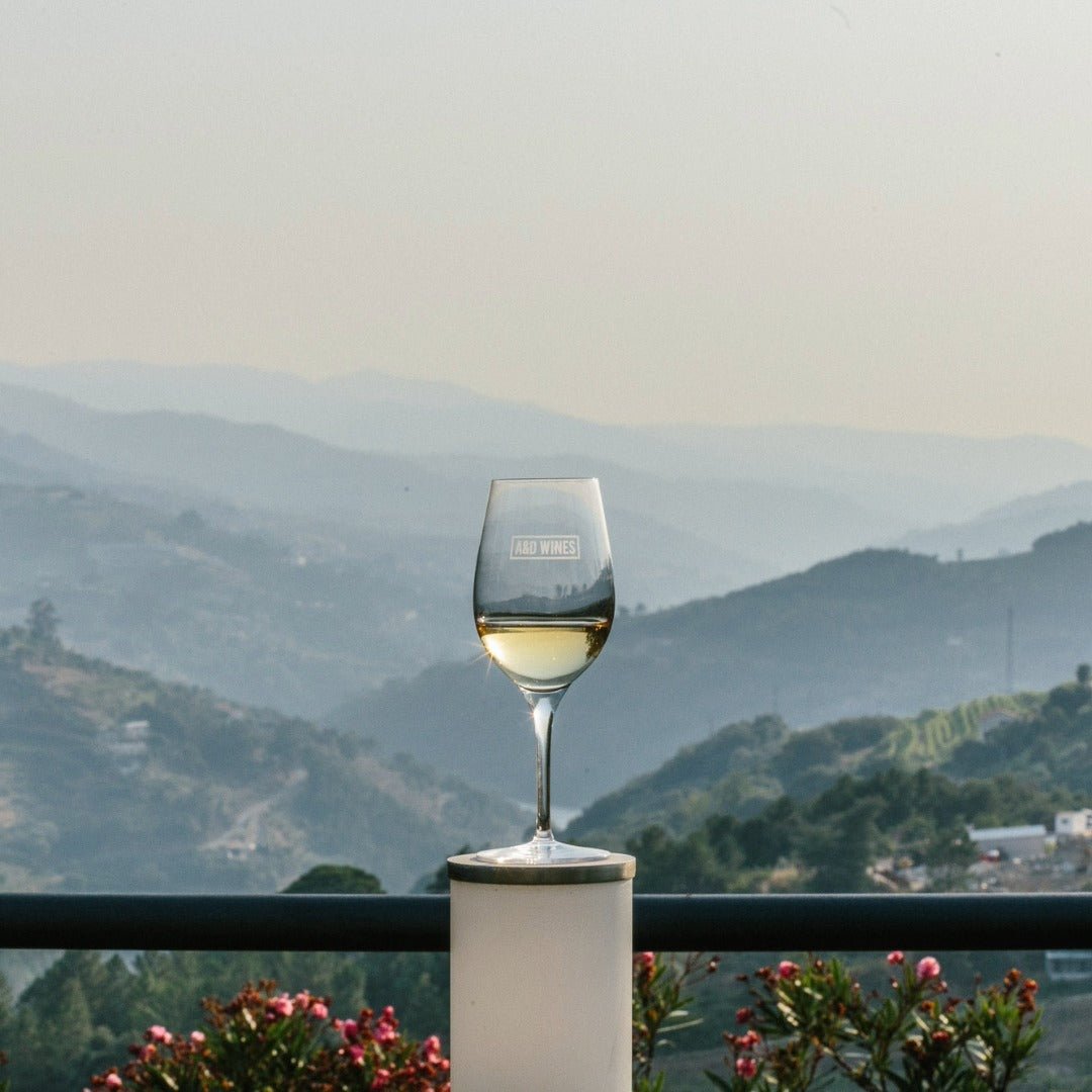 Monologo Arinto Organic Vinho Verde - Latitude Wine & Liquor Merchant