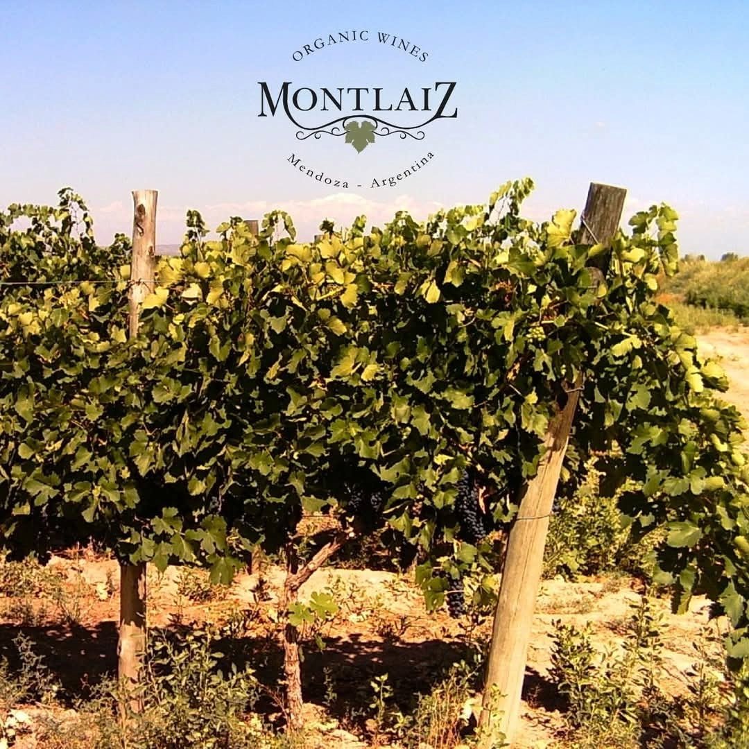 Montlaiz Reserva Viognier - Latitude Wine & Liquor Merchant