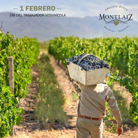 Montlaiz Reserva Viognier - Latitude Wine & Liquor Merchant