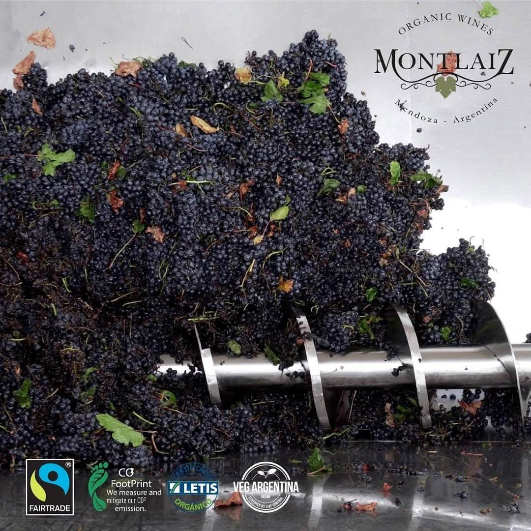 Montlaiz Reserva Viognier - Latitude Wine & Liquor Merchant