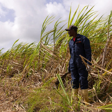 Mount Gay Extra Old - Latitude Wine & Liquor Merchant
