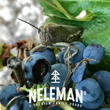 Nelemans Just Fucking Good Wine Rose - Latitude Wine & Liquor Merchant