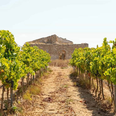 Nicosia Nerello Mascalese Bio - Latitude Wine & Liquor Merchant