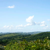 Nittardi Ad Astra Maremma Toscana - Latitude Wine & Liquor Merchant