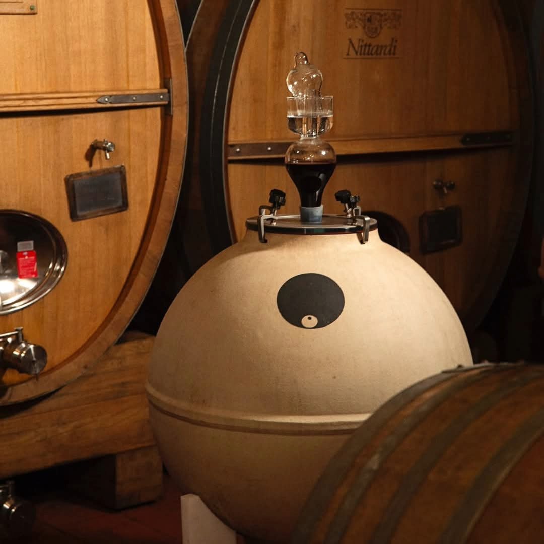 Nittardi Ad Astra Maremma Toscana - Latitude Wine & Liquor Merchant