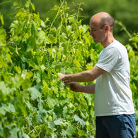 Nittardi Ad Astra Maremma Toscana - Latitude Wine & Liquor Merchant