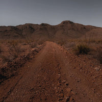 Nocheluna Sotol Dasylirion - Latitude Wine & Liquor Merchant