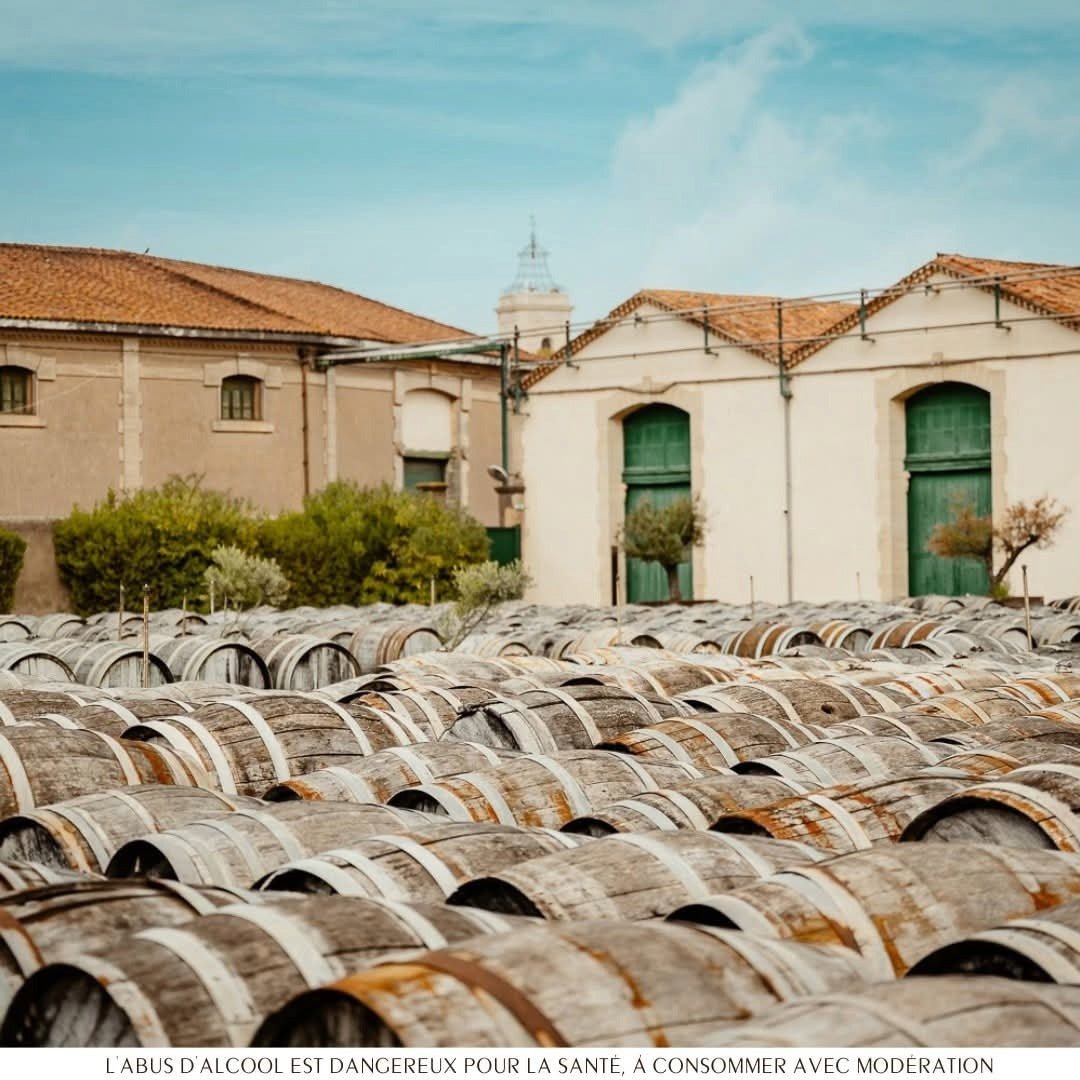 Noilly Prat Dry - Latitude Wine & Liquor Merchant