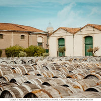 Noilly Prat Dry - Latitude Wine & Liquor Merchant