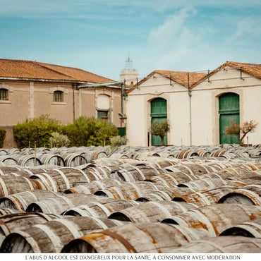 Noilly Prat Dry - Latitude Wine & Liquor Merchant