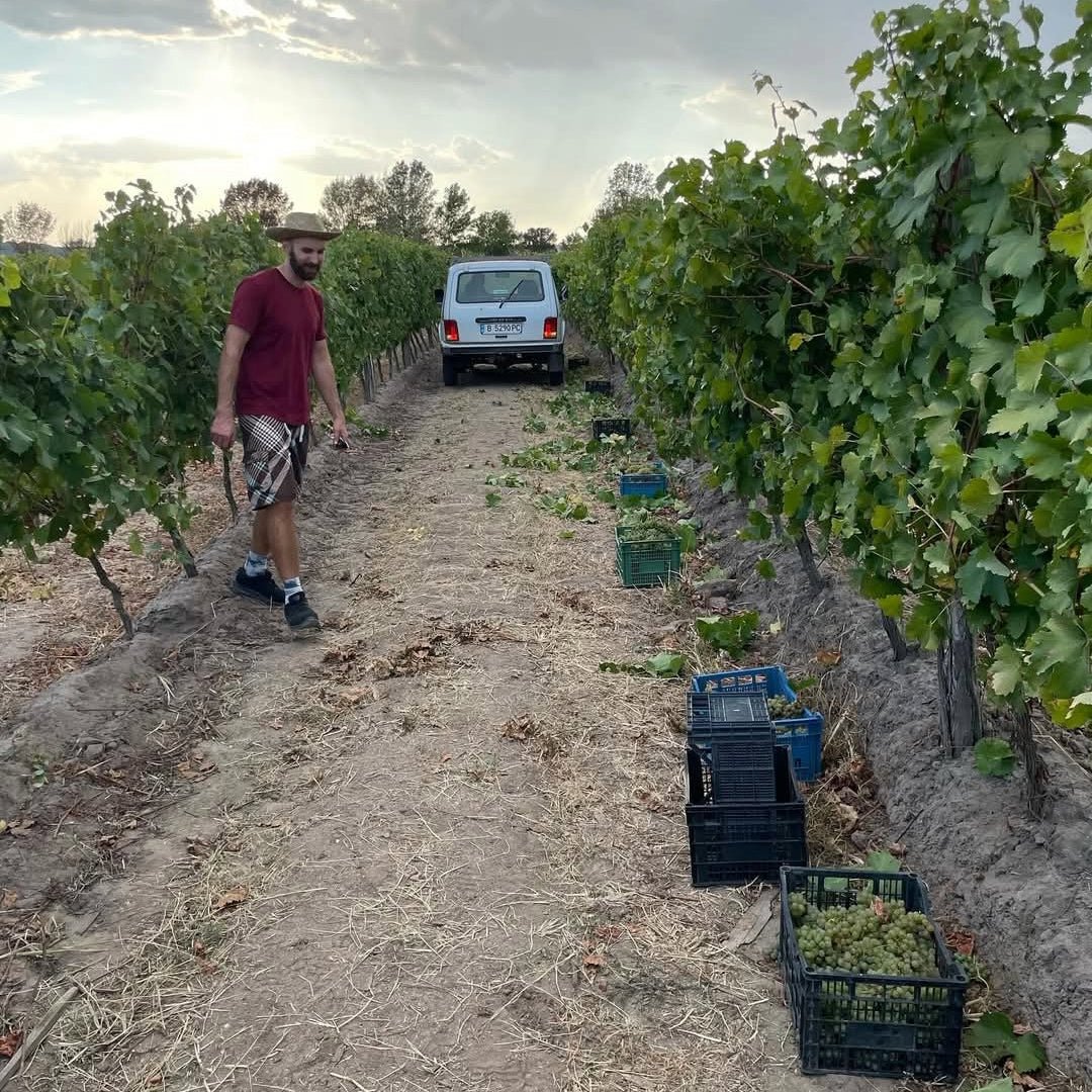 Odessos Urban Winery A Divine Pet Nat Riesling - Latitude Wine & Liquor Merchant