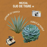 Ojo De Tigre Mezcal Blanco - Latitude Wine & Liquor Merchant