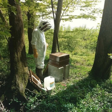 Olivier Pere Et Fils Cuvee Origine Brut Champagne - Latitude Wine & Liquor Merchant