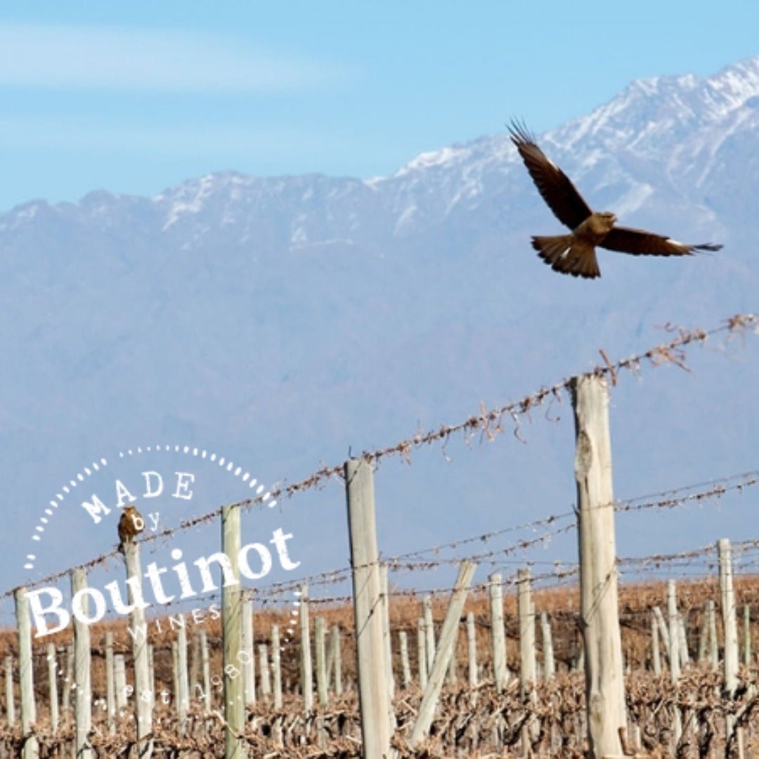 Pablo Y Walter Malbec - Latitude Wine & Liquor Merchant
