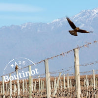 Pablo Y Walter Malbec - Latitude Wine & Liquor Merchant