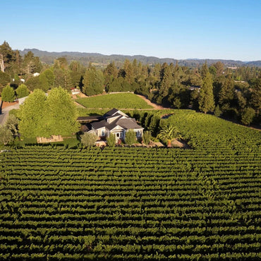 Paul Hobbs Napa Valley Cabernet Sauvignon - Latitude Wine & Liquor Merchant