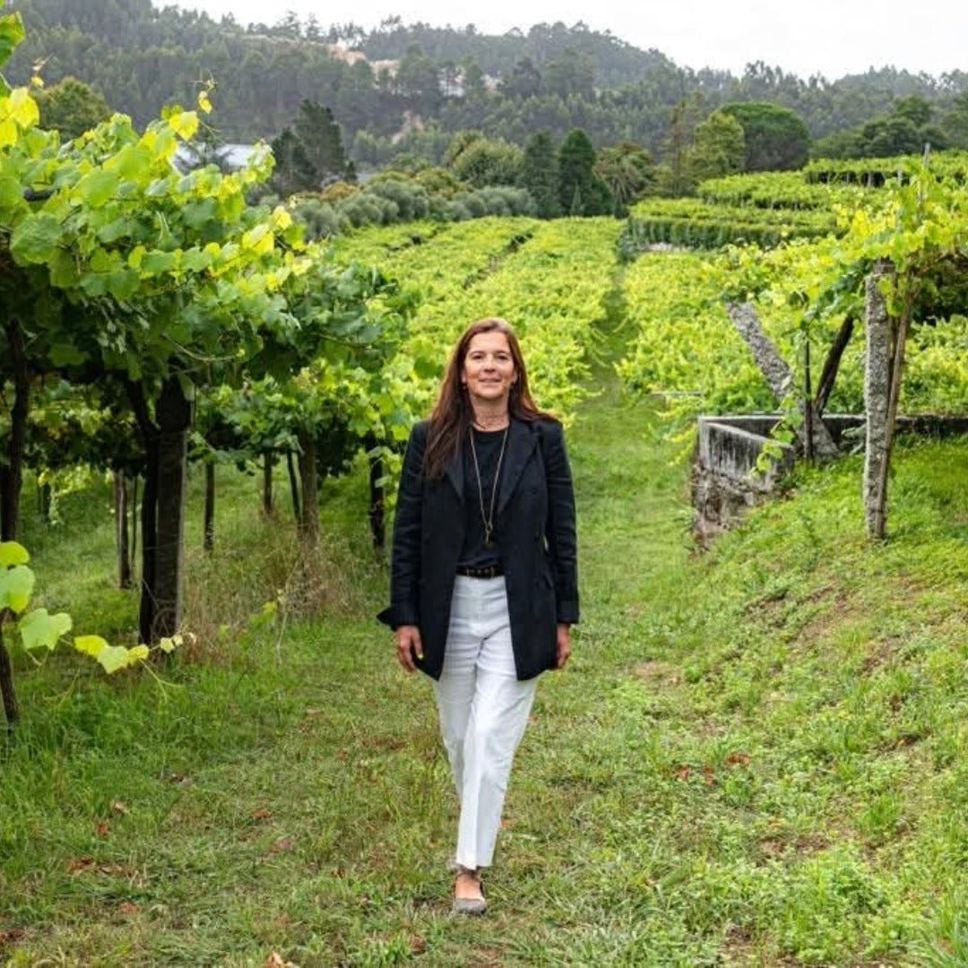 Pazo Senorans Albarino - Latitude Wine & Liquor Merchant