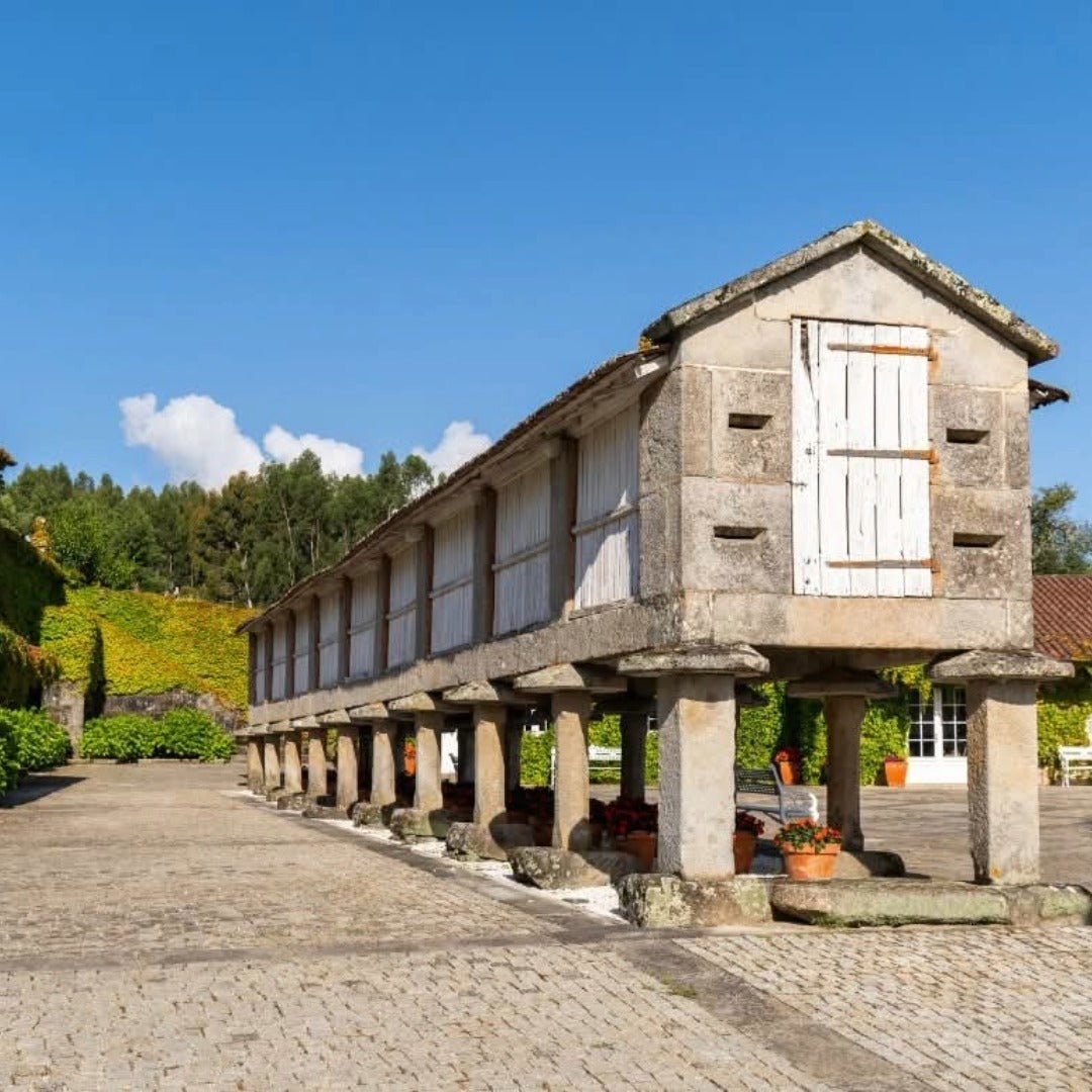 Pazo Senorans Albarino - Latitude Wine & Liquor Merchant