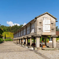 Pazo Senorans Albarino - Latitude Wine & Liquor Merchant