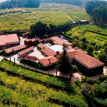 Pazo Senorans Albarino - Latitude Wine & Liquor Merchant