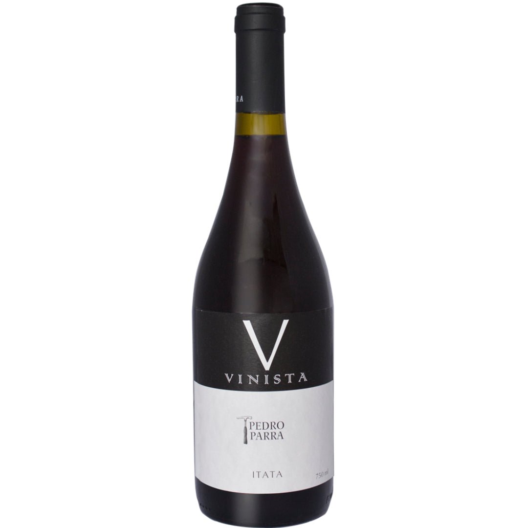 Pedro Parra 'Vinista' Itata Valley Pais - Latitude Wine & Liquor Merchant