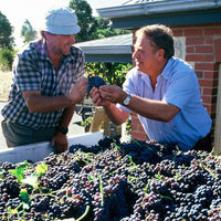 Peter Lehmann Masters, `Margaret` Barossa Valley Semillon - Latitude Wine & Liquor Merchant