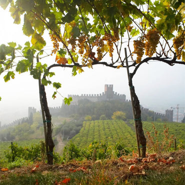 Pieropan - Soave Classico La Rocca - Latitude Wine & Liquor Merchant