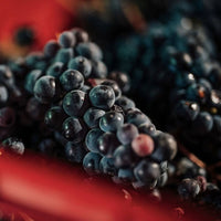 Planeta Chardonnay - Latitude Wine & Liquor Merchant