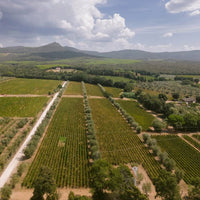 Poggio Al Tesoro Bolgheri Il Seggio - Latitude Wine & Liquor Merchant