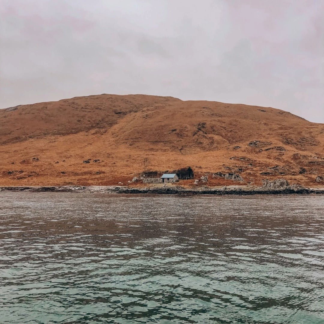 Port Askaig 8yo - Latitude Wine & Liquor Merchant