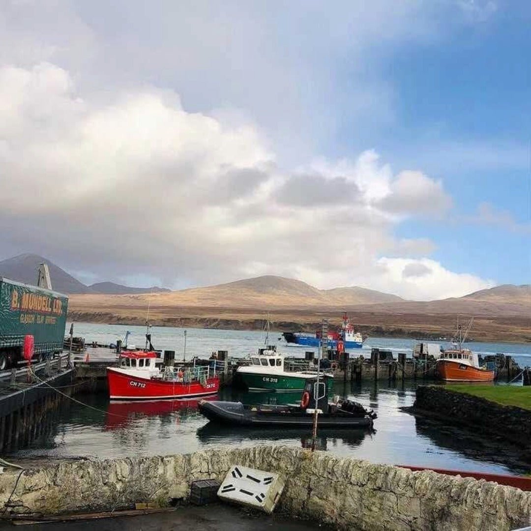 Port Askaig 8yo - Latitude Wine & Liquor Merchant