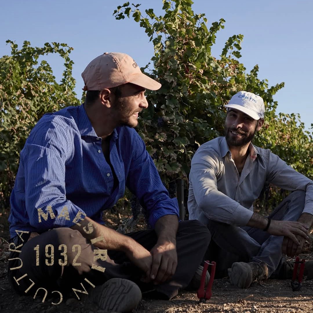 Produttori Di Manduria Alice Verdeca - Latitude Wine & Liquor Merchant