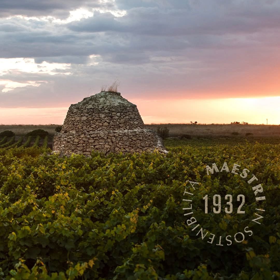 Produttori Di Manduria Elegia Primitivo Di Manduria Reserva - Latitude Wine & Liquor Merchant