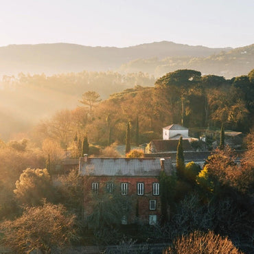 Quinta Do Ameal Vinho Verde Loureiro - Latitude Wine & Liquor Merchant