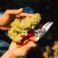 Quinta Do Ameal Vinho Verde Loureiro - Latitude Wine & Liquor Merchant