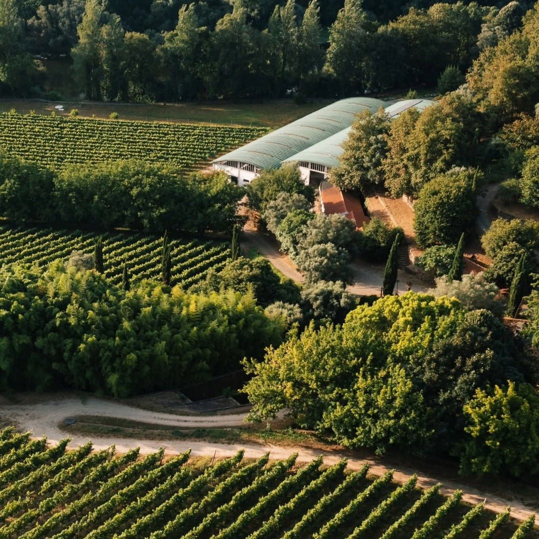 Quinta Do Ameal Vinho Verde Loureiro - Latitude Wine & Liquor Merchant