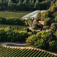 Quinta Do Ameal Vinho Verde Loureiro - Latitude Wine & Liquor Merchant