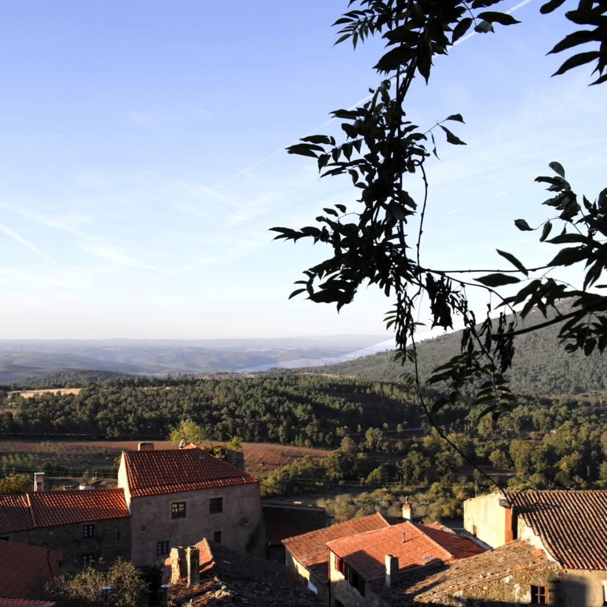Quinta Do Cardo Tinto - Latitude Wine & Liquor Merchant