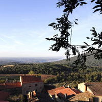 Quinta Do Cardo Tinto - Latitude Wine & Liquor Merchant