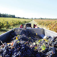 Quinta Do Cardo Tinto - Latitude Wine & Liquor Merchant