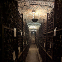 RCV Real Companhia Velha 10yo Tawny - Latitude Wine & Liquor Merchant