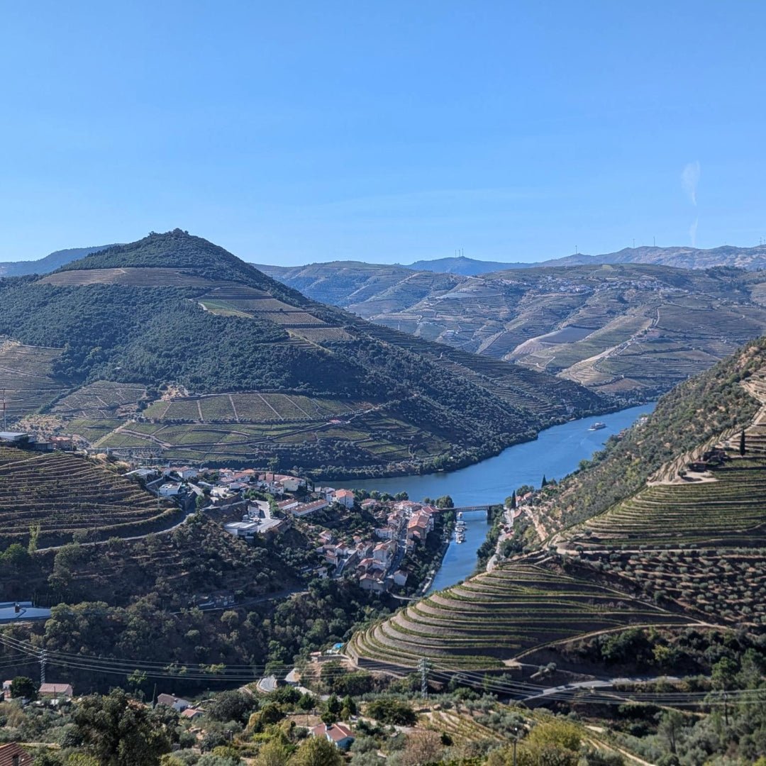 RCV Real Companhia Velha 10yo Tawny - Latitude Wine & Liquor Merchant