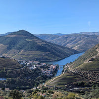 RCV Real Companhia Velha 10yo Tawny - Latitude Wine & Liquor Merchant