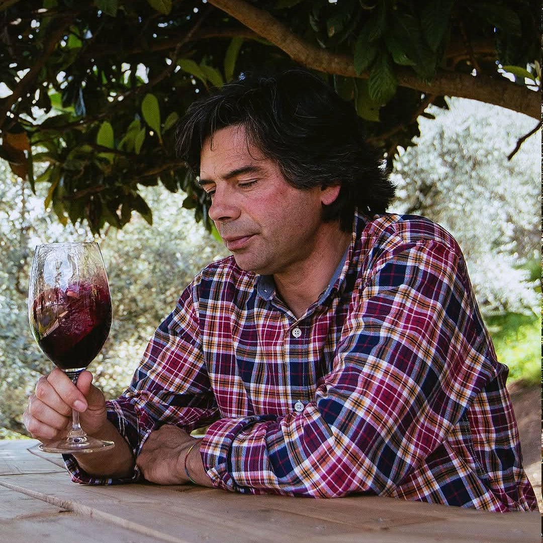 RCV Real Companhia Velha 10yo Tawny - Latitude Wine & Liquor Merchant