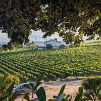 RCV Real Companhia Velha 10yo Tawny - Latitude Wine & Liquor Merchant