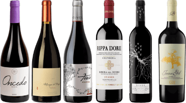 RED Spanish Wine Case - Latitude Wine & Liquor Merchant