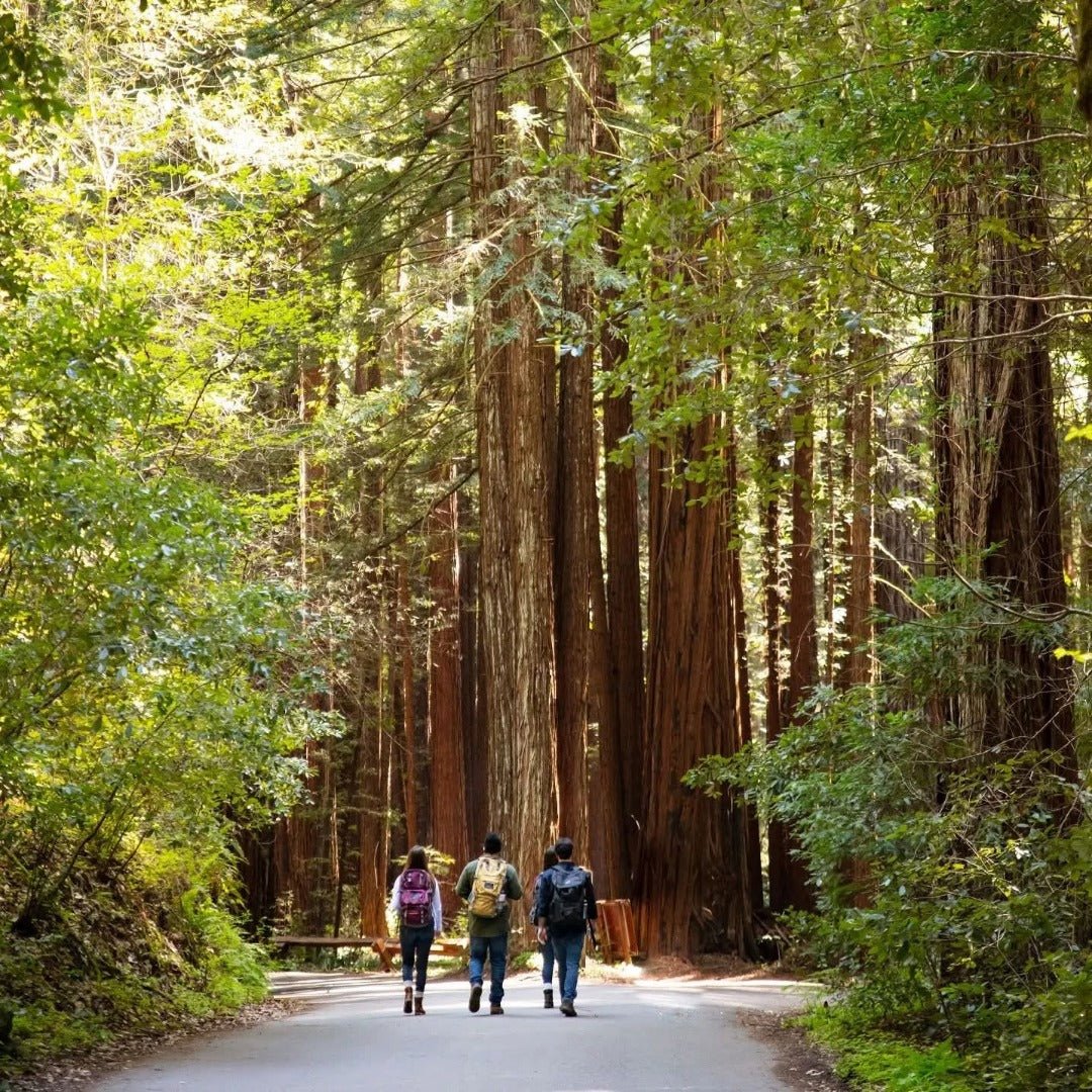 Redwood Empire Emerald Giant Rye Whiskey - Latitude Wine & Liquor Merchant